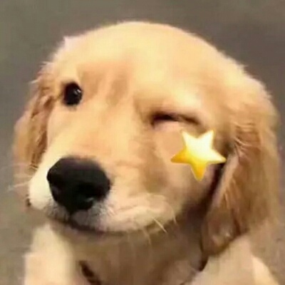 微信动物头像图片大全