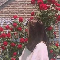 女性诗意的名字网名