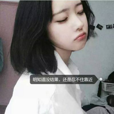 2023新版微信头像简单可爱