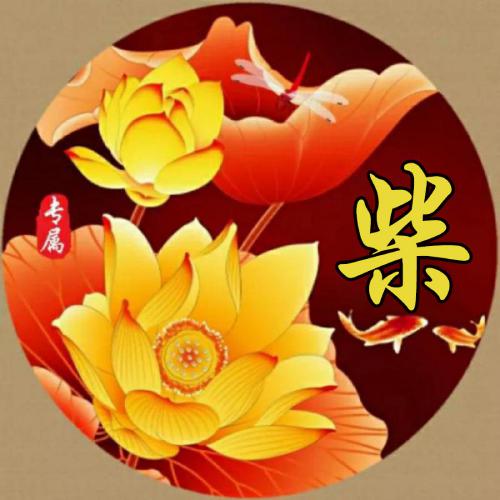 微信头像2023年的新头像上有冰墩墩