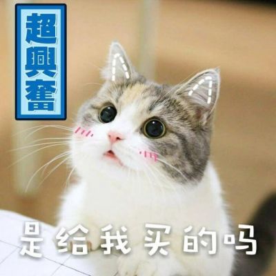 丁程鑫同款微信头像高清加油