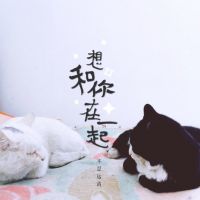 英文网名简约唯美