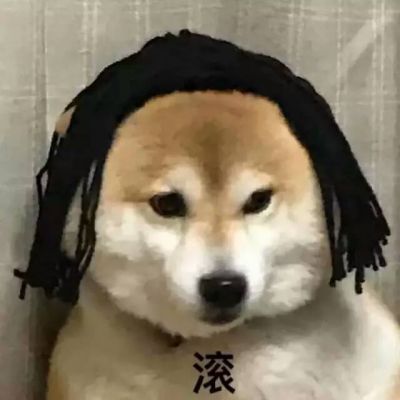 2022年火爆微信头像动物