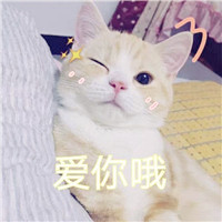 麦克斯奥特曼头像搞笑
