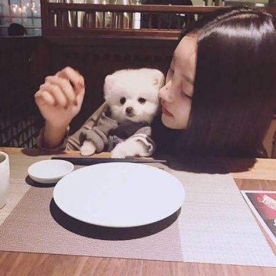 可爱女生头像动物