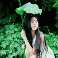 徽信头像图片 保护眼睛的绿色