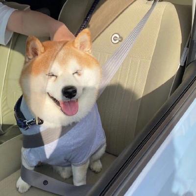 丁程鑫加油站微信头像