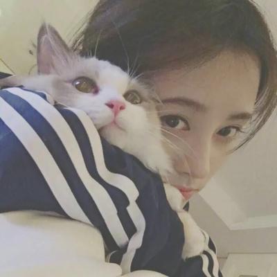 女生头像带猫咪ins高级质感