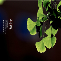 头像自然风景 清新