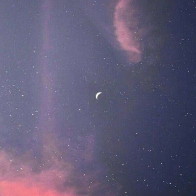能招财的微信头像
