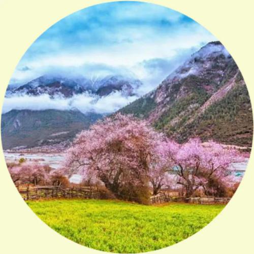 微信头像图片小清新风景