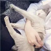 优雅古风男生网名
