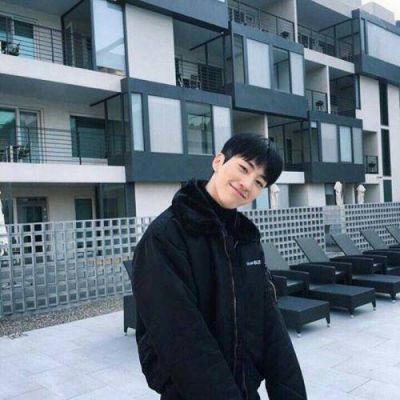 头像男可爱狗