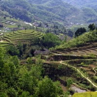图片头像风景 大自然