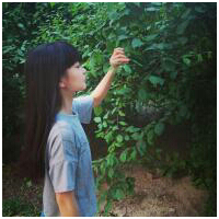 女网名简短符号
