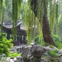 头像风景图片唯美图片 花草