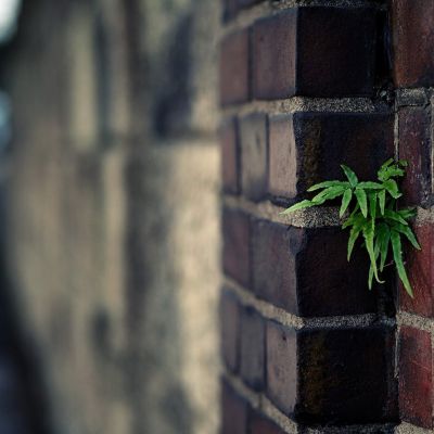 高雅有内涵的微信头像意境