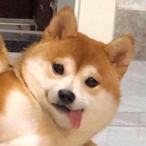 治愈系动物头像