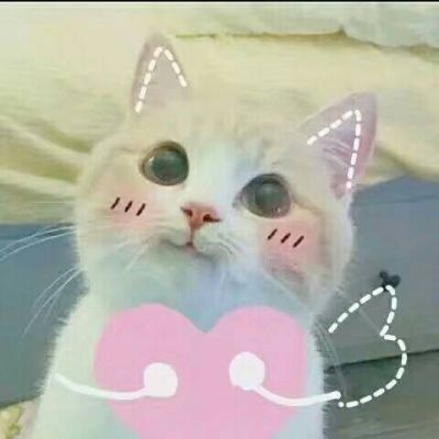 汤姆猫头像搞笑