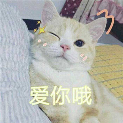 头像狗子搞笑
