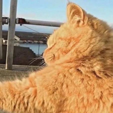 搞笑双人头像