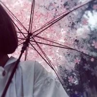 适合qq群的头像