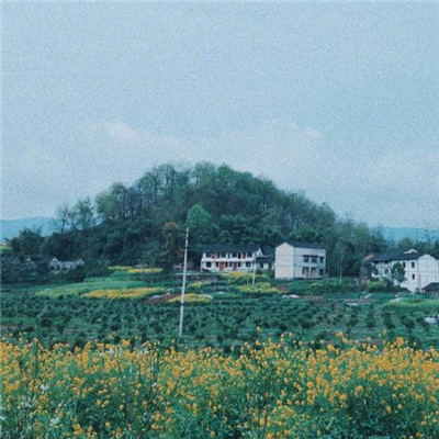 吉利的微信头像图片