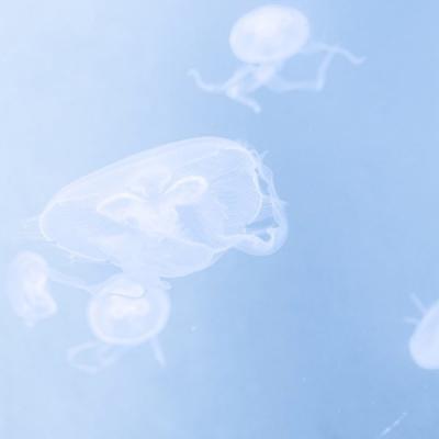 陆姓微信头像图片高清