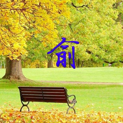 姓氏头像张最火爆