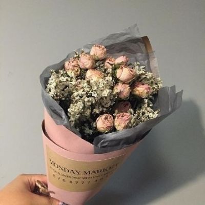 头像阳光风景小清新