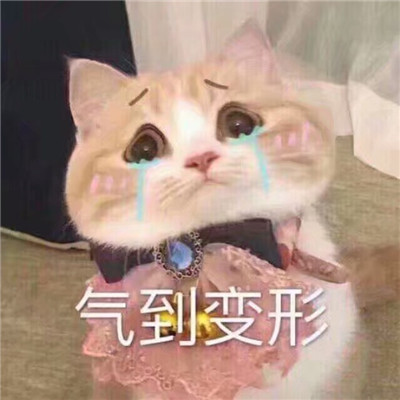 微博网名的格式