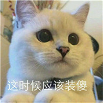 简约又可爱的网名