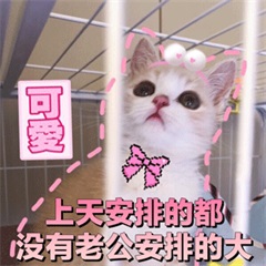 头像图片男搞笑