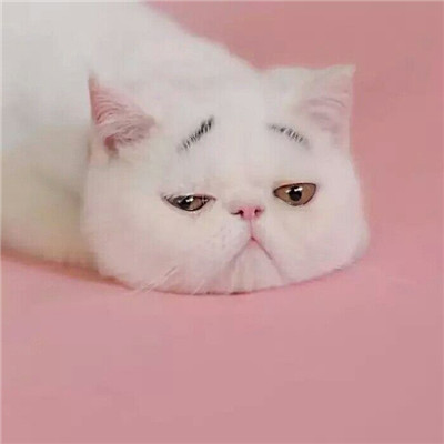 头像搞怪但很好看女生