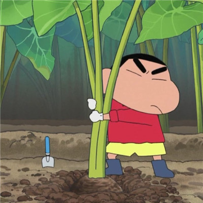 蜡笔小新头像帅气可爱