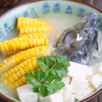 京都名士头像框搭配