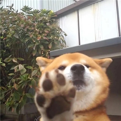 好看搞怪头像