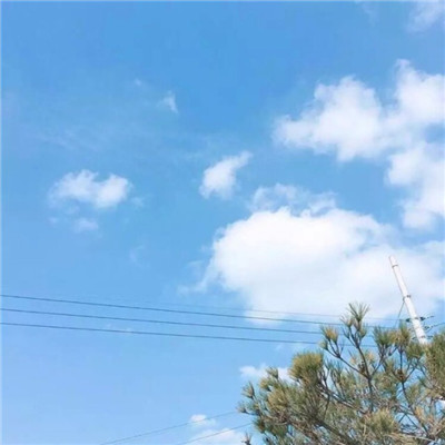 干净有品位的头像风景