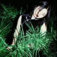 无开头的网名 诗意