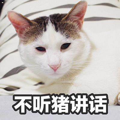 搞怪头像猫咪高清图片