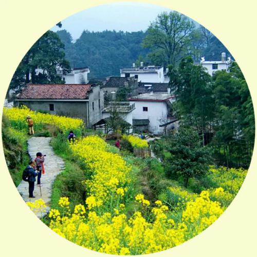 2023头像图片最近最火风景