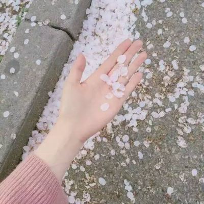 好看好听两个字网名
