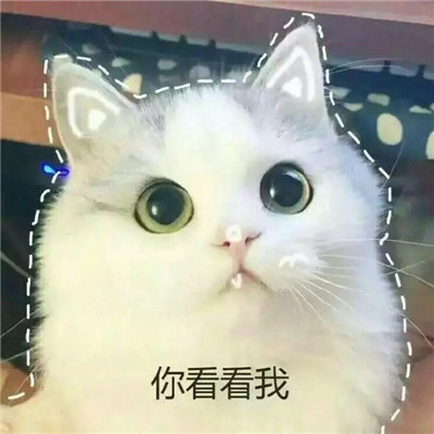 蒙娜丽莎头像搞笑图片