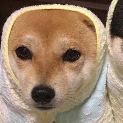 鬼畜头像搞笑图片