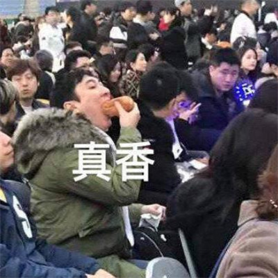 狗头像搞笑高清图片