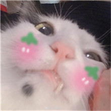 搞笑狗头像大全
