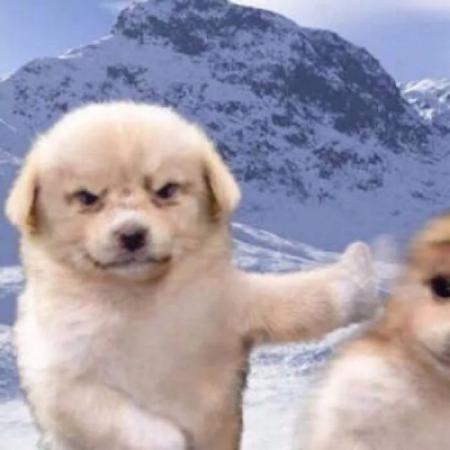 鬼畜头像搞笑沙雕