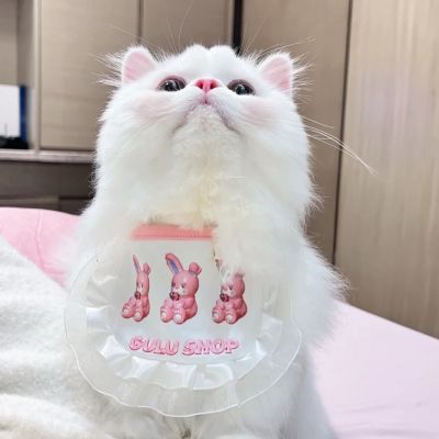 头像猫咪可爱