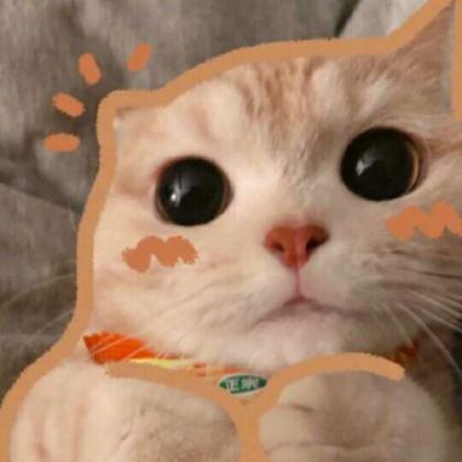 汤姆猫搞笑头像