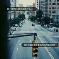 qq头像带字